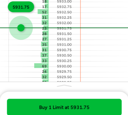 SuperDOM - NinjaTrader Mobile