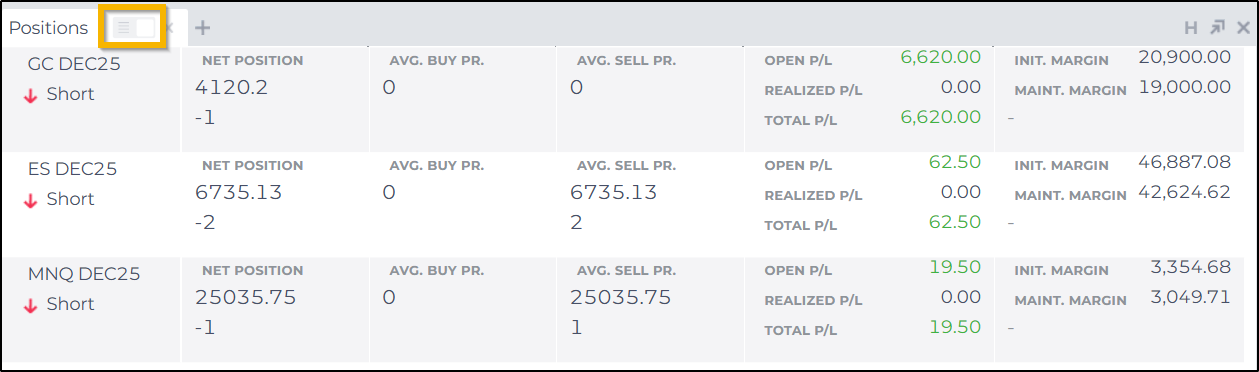 Modulo Posizioni - NinjaTrader Web