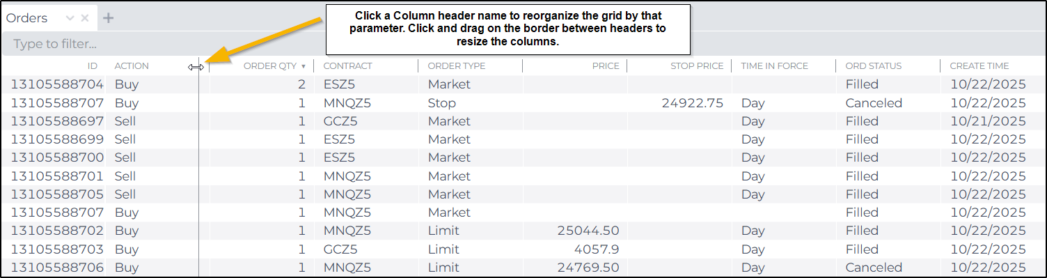 Orders Module - NinjaTrader Web